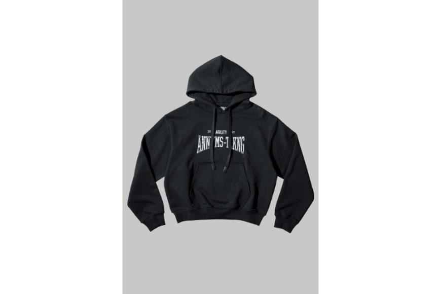 AA-HD1 Logo Hoodie (9)