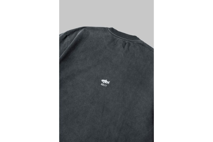 AA-LS2 Image Longsleeve Tee (8)