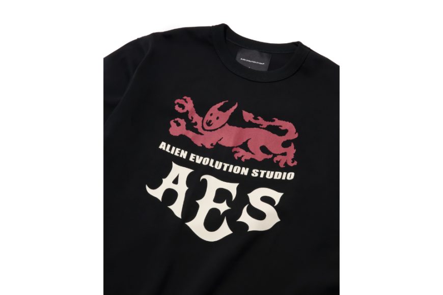 Beasts Of Medieval Fantasy Tee (3)