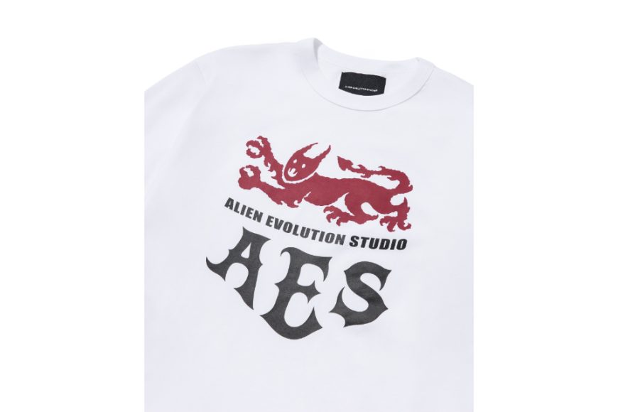 Beasts Of Medieval Fantasy Tee (6)