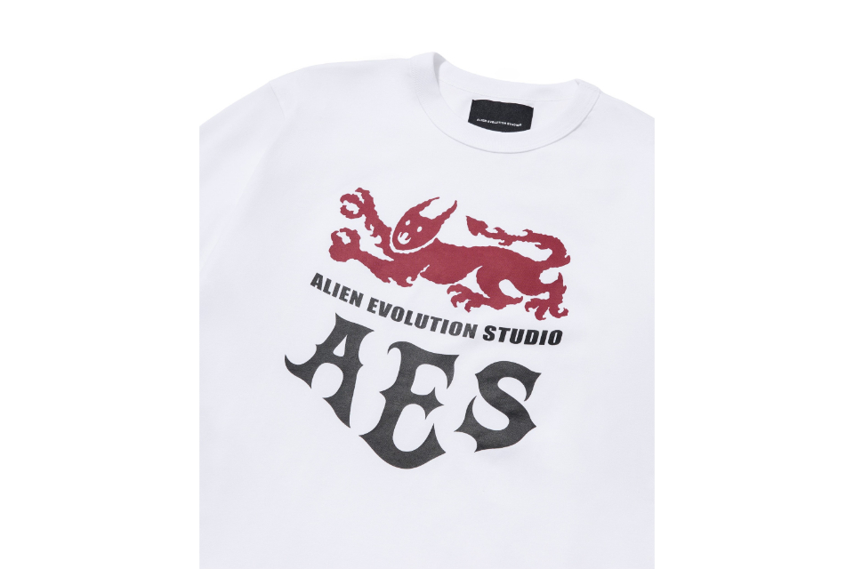 Beasts Of Medieval Fantasy Tee (6)