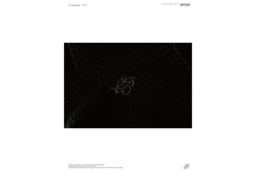LB knit beanie (11)
