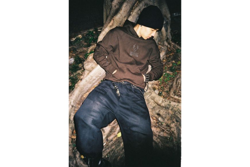 Wing Logo Hoodie (1)