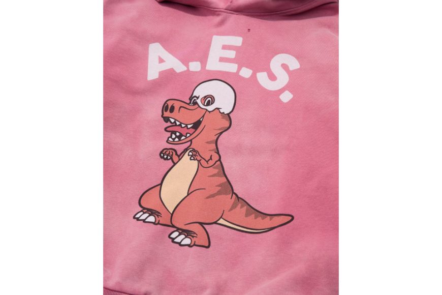 AES Skull T-Rex Vintage Washed Hoodie (11)