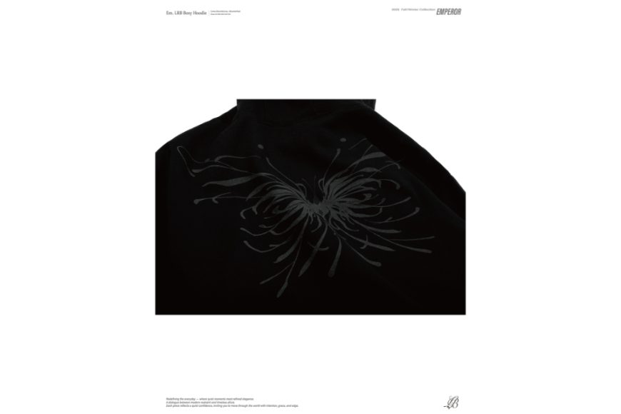 Em. LRB boxy hoodie (10)