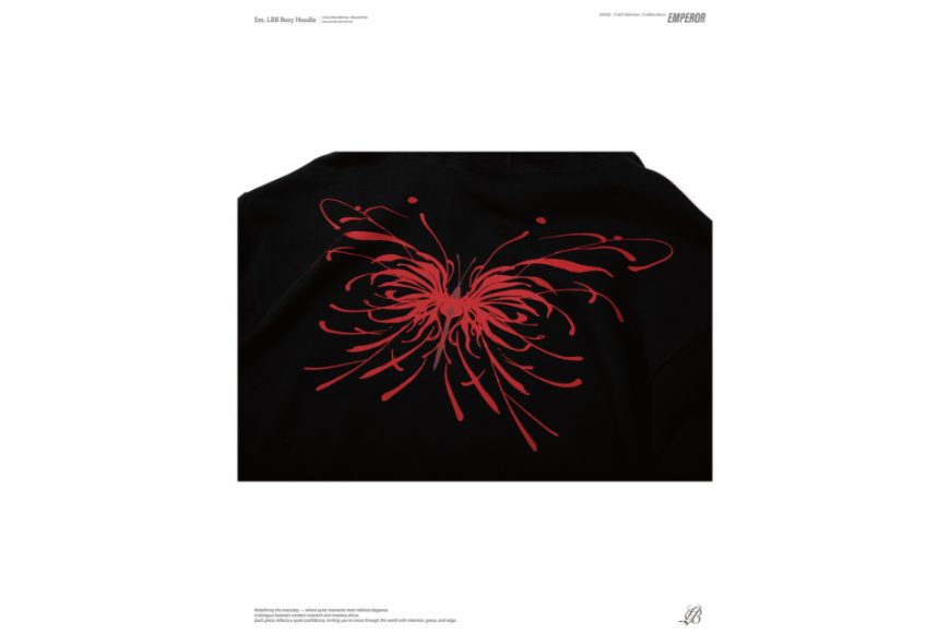 Em. LRB boxy hoodie (15)