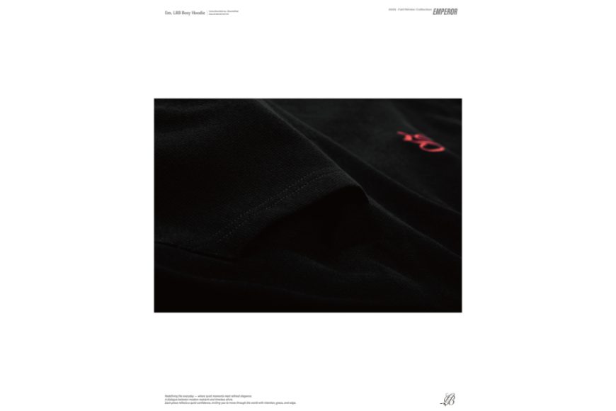 Em. LRB boxy hoodie (16)