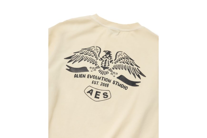 Skull & Eagle Totem Vintage Washed Oversize Tee (9)