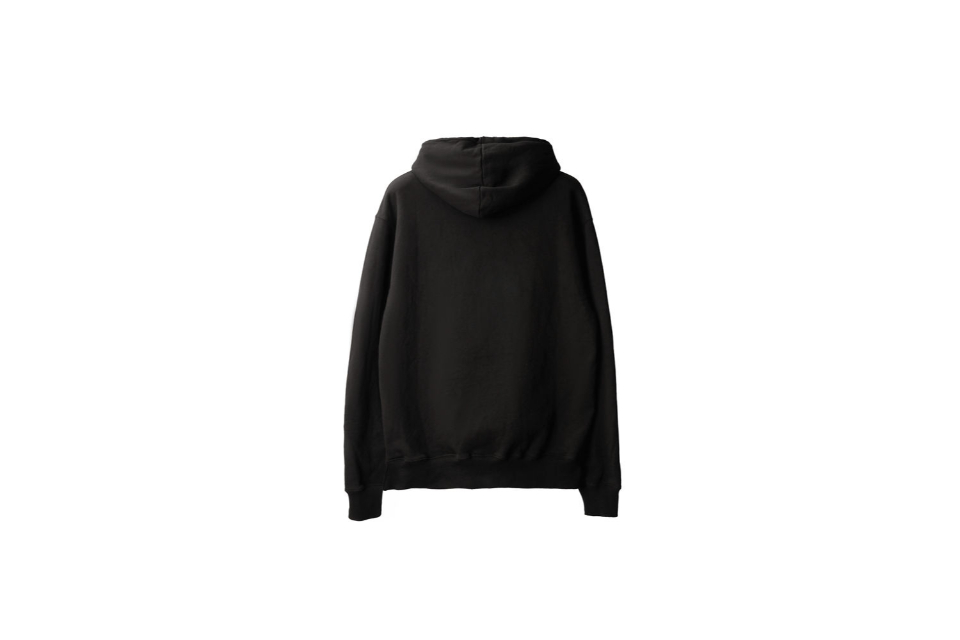 Wing Logo Hoody (4)