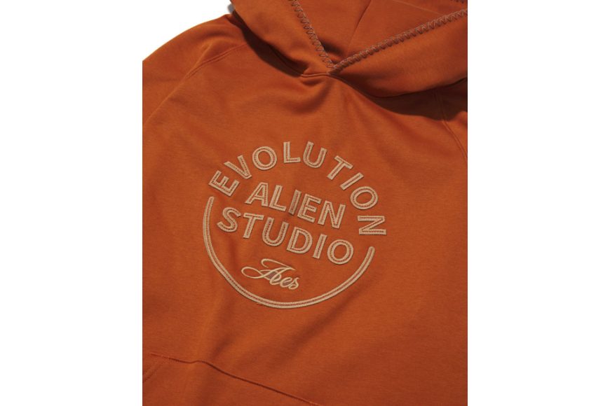 AES APPLIQUÉ Embroidery Hoodie (13)