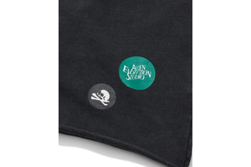 AES Bald Eagle Washed Zip Up Hoodie (12)