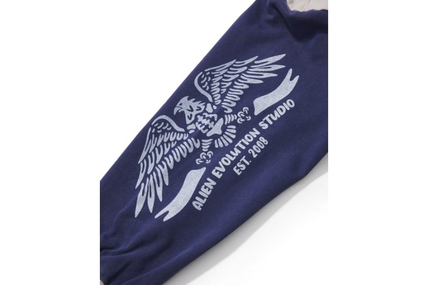 AES Bald Eagle Washed Zip Up Hoodie (15)