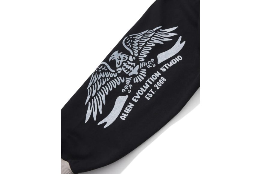 AES Bald Eagle Washed Zip Up Hoodie (7)