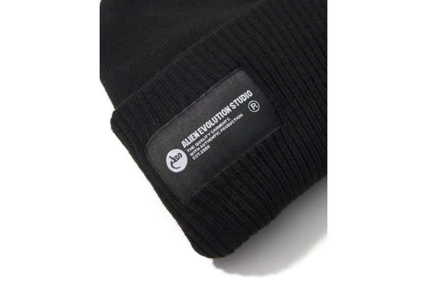 AES Brim Beanie (4)