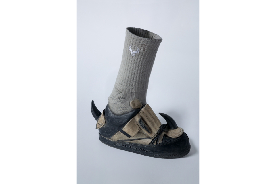 Wing Logo Socks (1)
