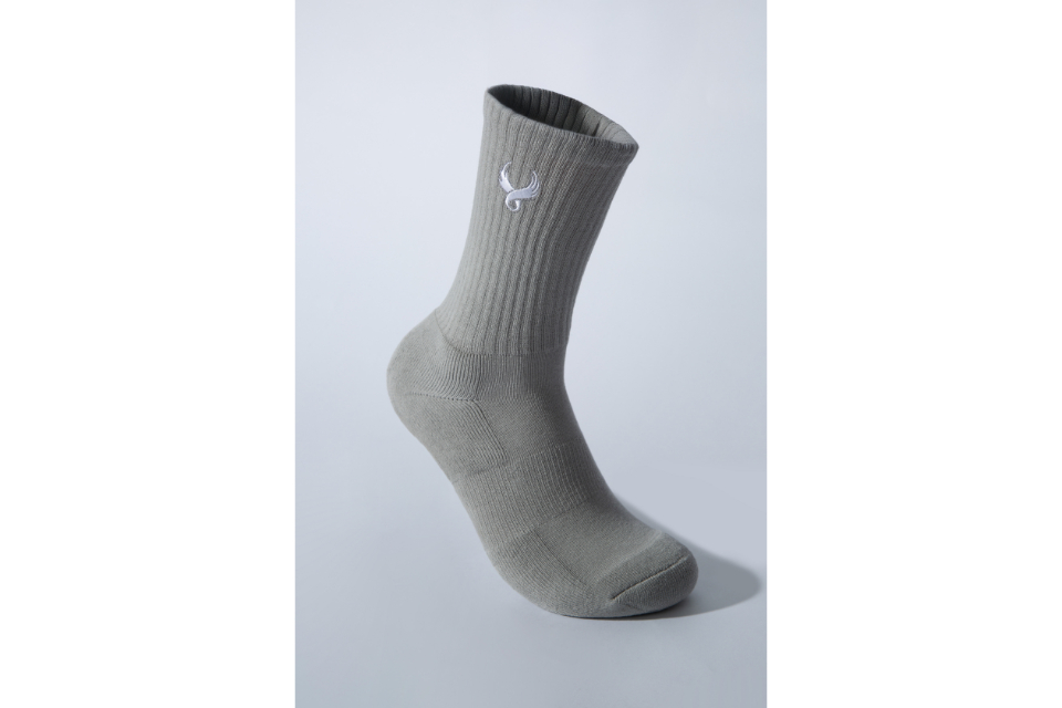 Wing Logo Socks (4)