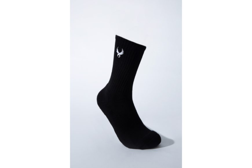 Wing Logo Socks (5)