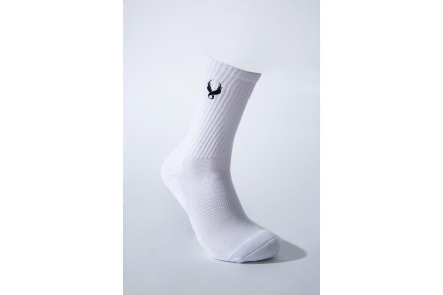 Wing Logo Socks (6)