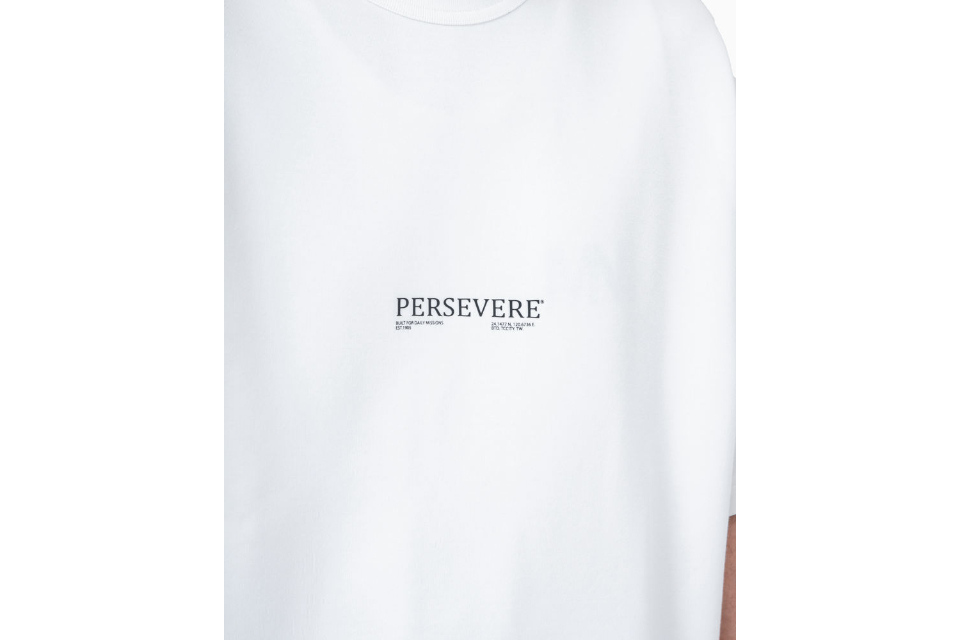 Loose-Fit Cotton T-Shirt (12)
