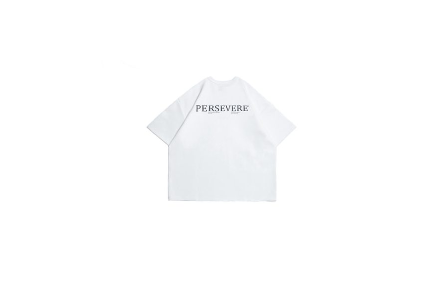 Loose-Fit Cotton T-Shirt (14)