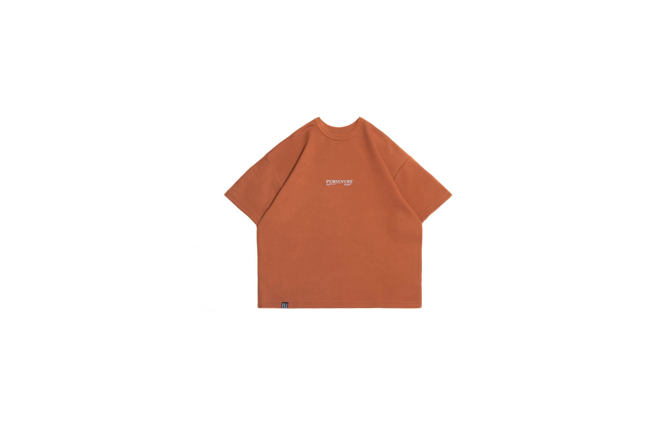 Loose-Fit Cotton T-Shirt (17)