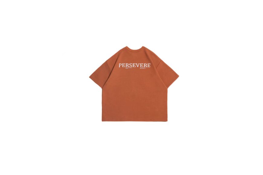 Loose-Fit Cotton T-Shirt (18)