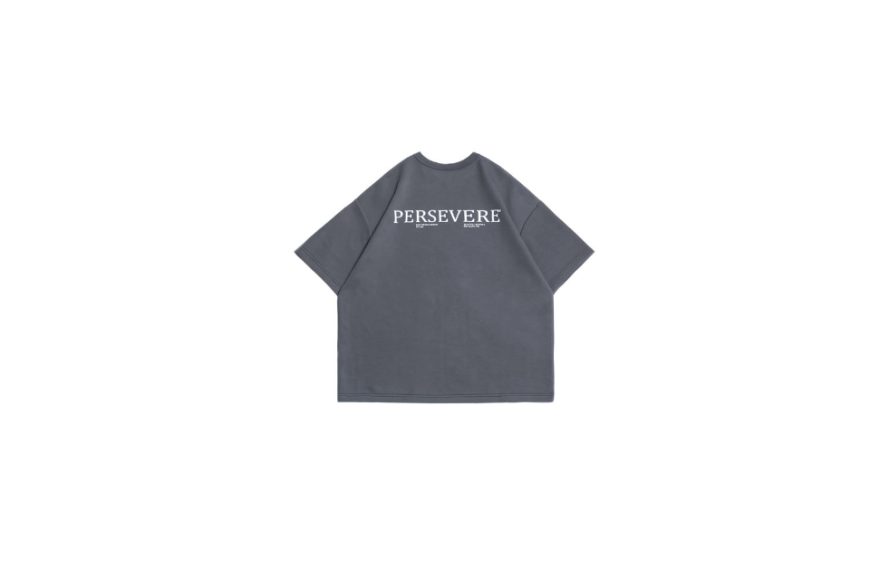 Loose-Fit Cotton T-Shirt (20)