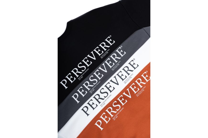 Loose-Fit Cotton T-Shirt (23)