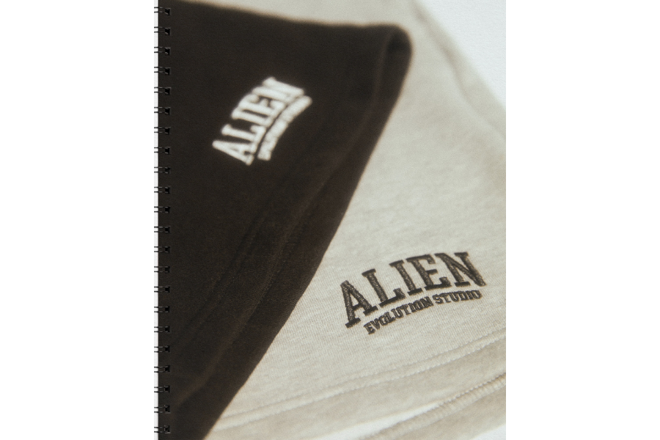 AES Varsity Arch Logo Washed Vintage Cotton Shorts (3)