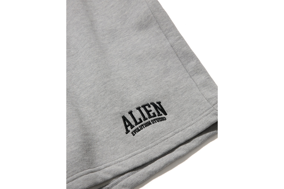 AES Varsity Arch Logo Washed Vintage Cotton Shorts (9)