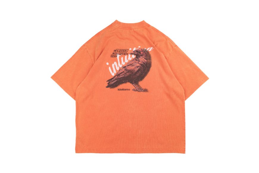 Crow Wash Tee (16)