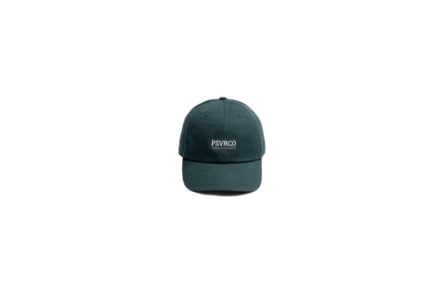 Slogan Twill Dad Cap (20)