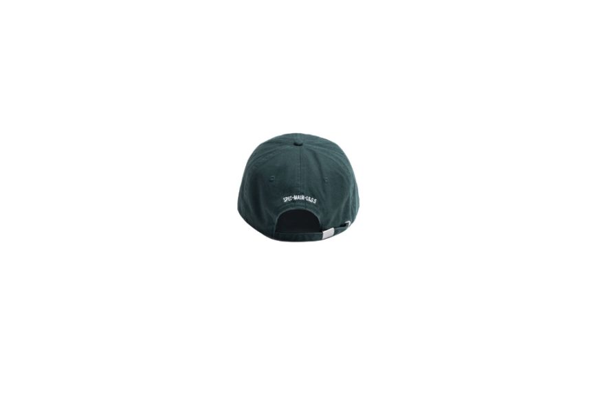 Slogan Twill Dad Cap (21)