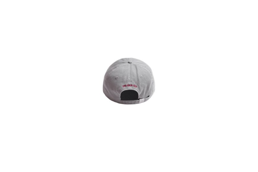 Slogan Twill Dad Cap (31)