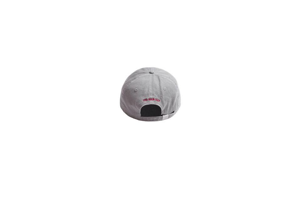 Slogan Twill Dad Cap (31)