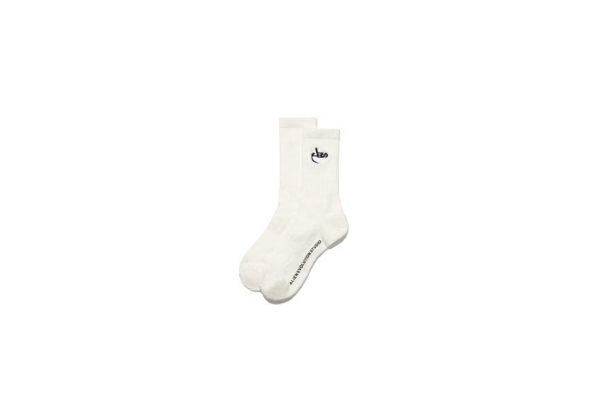 AES Classic Logo Embroidered Socks (3)