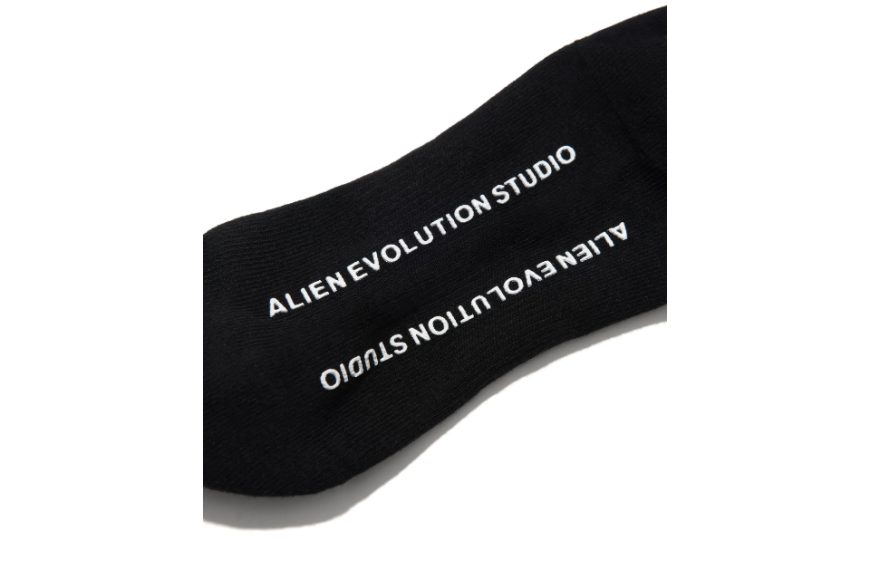 AES Classic Logo Embroidered Socks (8)