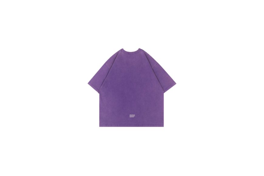 Washed Graphic Tee (10)