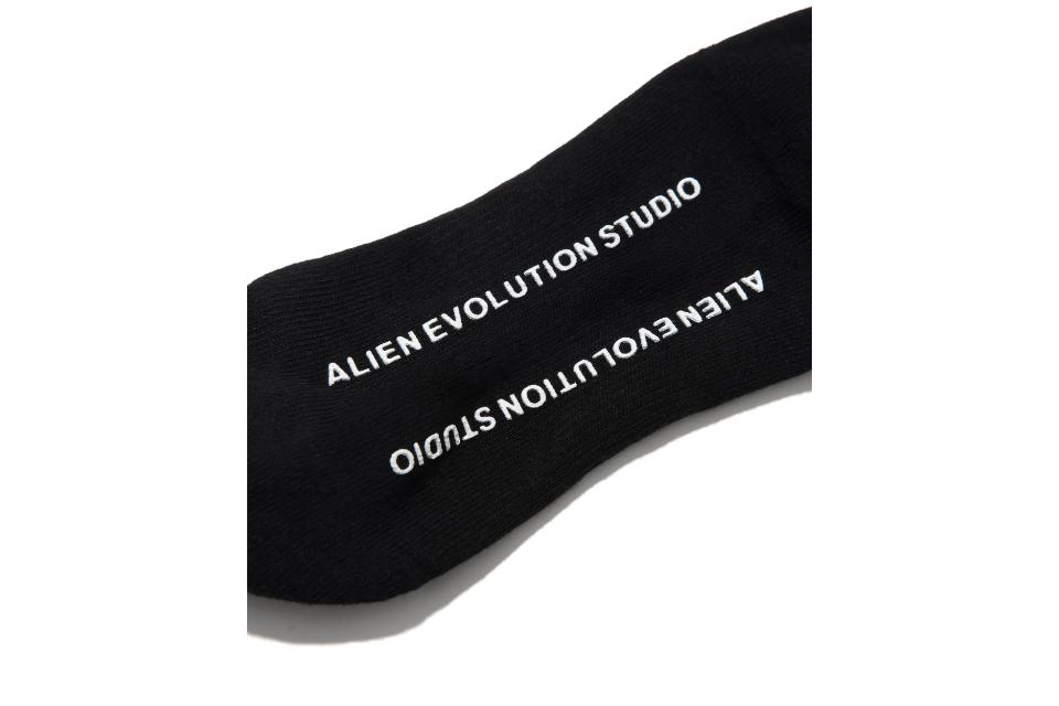 AES Skull Logo Double Striped Socks (10)