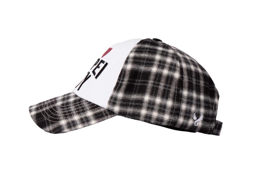 I 3 Taipei City Cap (6)