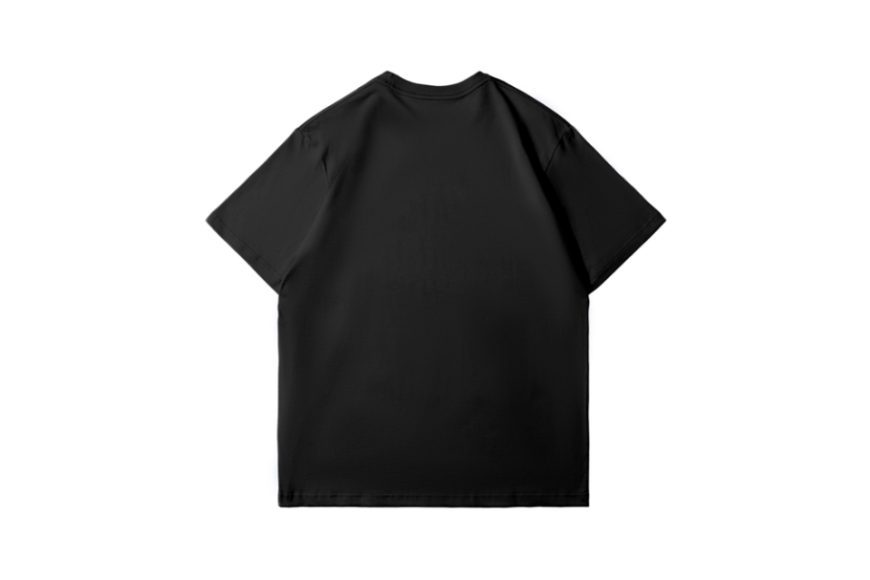 Wing Logo Tee (8)