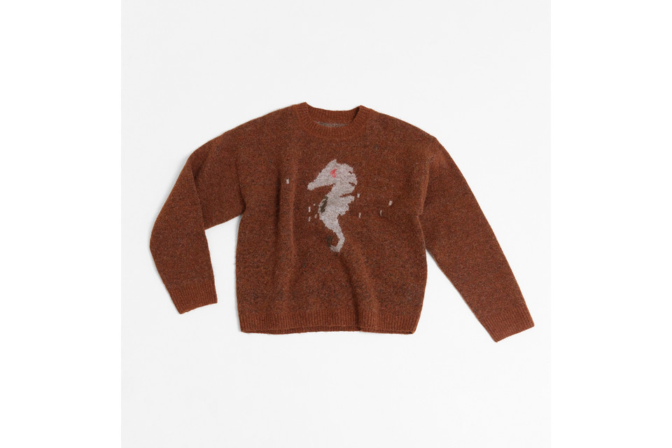 Hippocampus Sweater (14)
